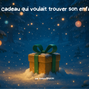 Le cadeau qui voulait trouver son enfant